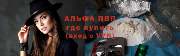 сатива Сатка