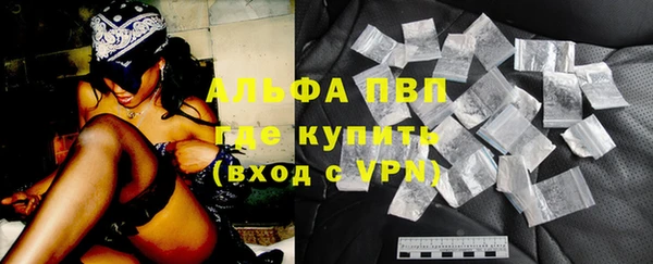 шишки Белоозёрский
